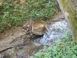 Odpadki v potoku na Rozaliji